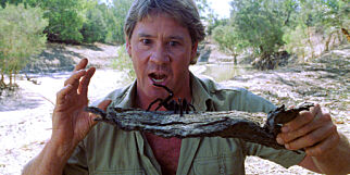 Har funnet brev fra Steve Irwin etter hans død