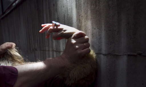 Hva hjelper det å skrike?