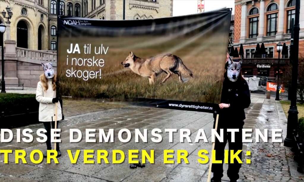 NOAH ut mot Senterpartiet: - Dette er propaganda på sitt verste