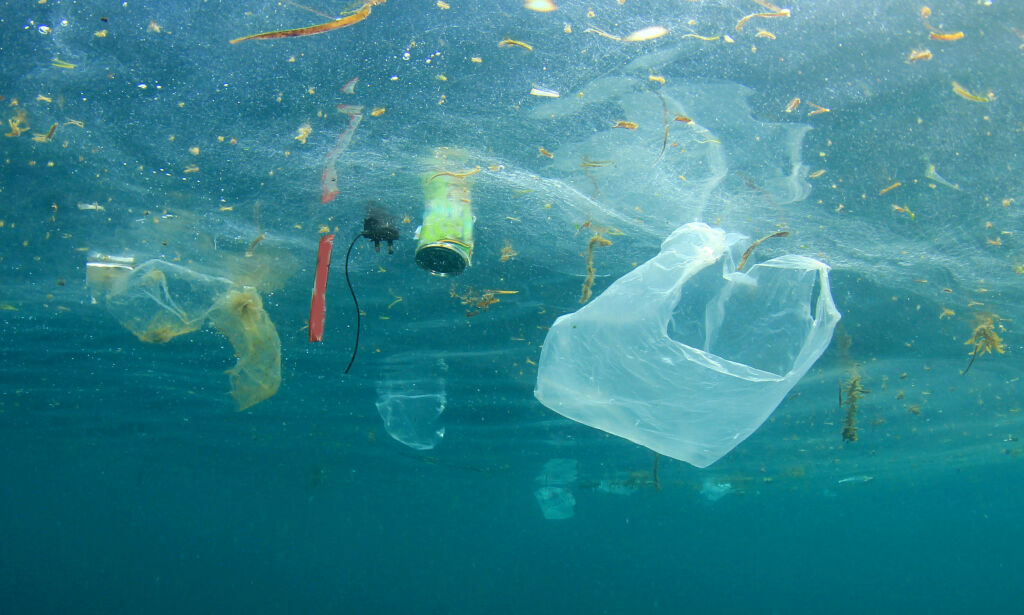 Mikroplastfunn i havsalt: Strør du plast på maten din?