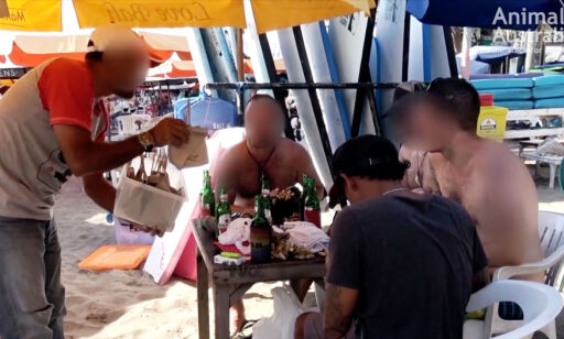 - Hunder blir brutalt slaktet og servert til uvitende turister på Bali