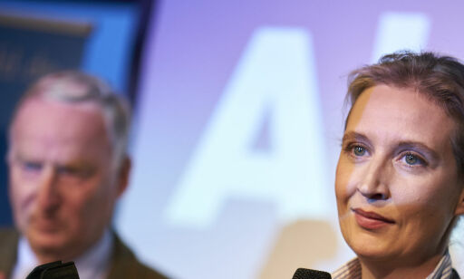 Tyske jøder mener AfD utgjør landets største utfordring siden krigen: - Avskyelig