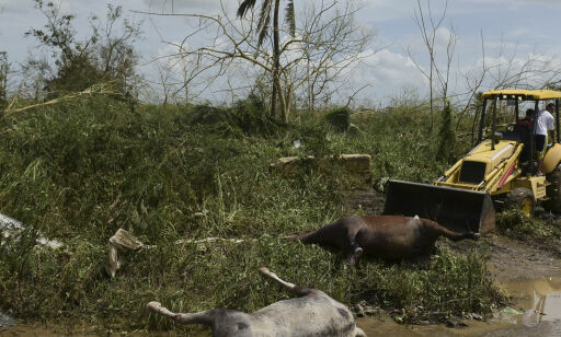 Trump langer ut mot ordfører på orkanrammede Puerto Rico