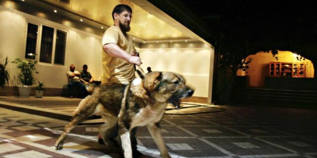 Derfor er han «Putins pitbull»