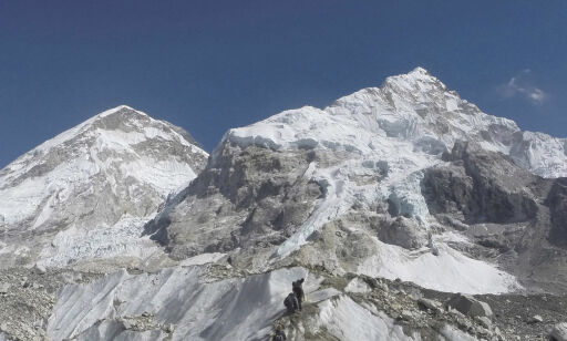 Flere klatrere dør hvert år på Mount Everest. Nå innfører Nepal nye regler