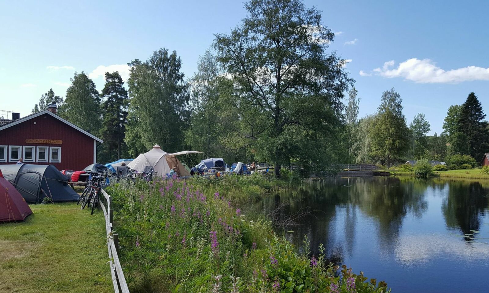 FRILUFTSLIV: Her kan du virkelig nyte skogens ro. Foto: Glaskogens Camping FRILUFTSLIV: Her kan du virkelig nyte skogens ro. Foto: Glaskogens Camping