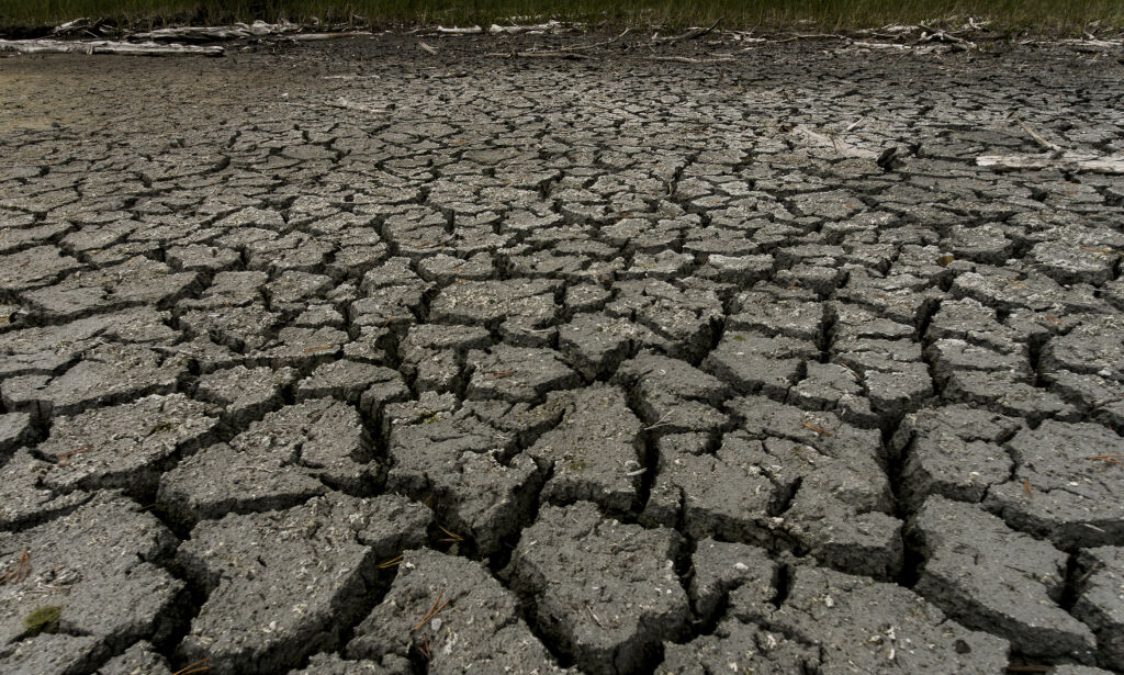 Klimaforskerne slår alarm etter en sommer der varmerekordene har falt over hele verden