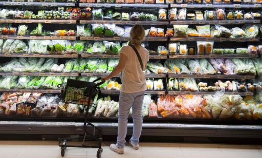 President Macron vet hvordan Norge skal bli kvitt 80 000 tonn plast: - Elvestuen vrir seg unna